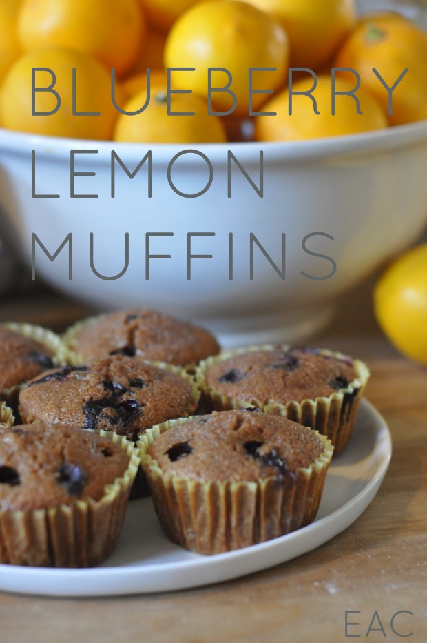 GF Blueberry Lemon Muffins