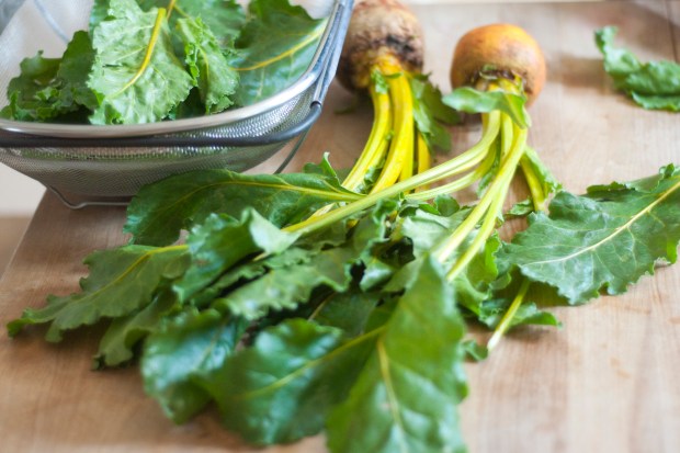 BEET GREENS 04