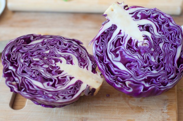 CincoDeMayo_Tacos_10